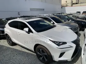 Lexus NX 300 AWD 2018 Pearl