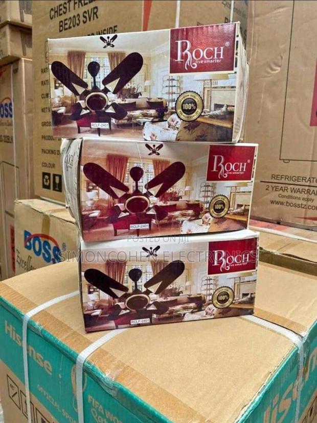 Roch 24 Inches Ceiling Fan - main view