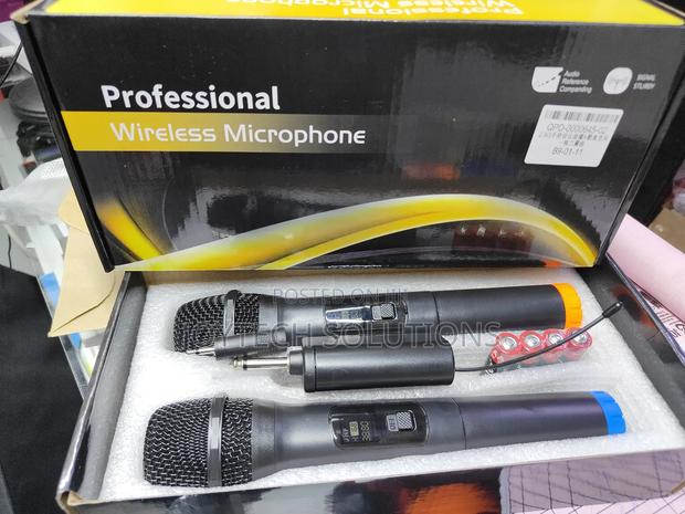 Portable Handheld Microphone Dual Channel Plug Play Dynamic