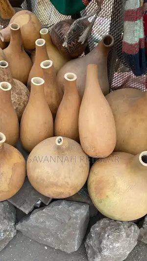 Dried Gourds Calabashes, Which Hard Shells Gourd (Lagenaria Siceraria)