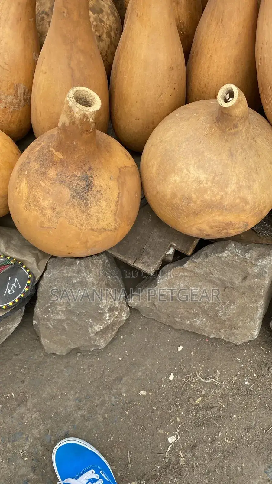 Dried Gourds Calabashes, Which Hard Shells Gourd (Lagenaria Siceraria)