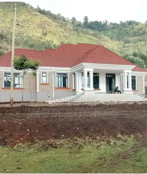 Professional Roofing Fundi and Repairs and