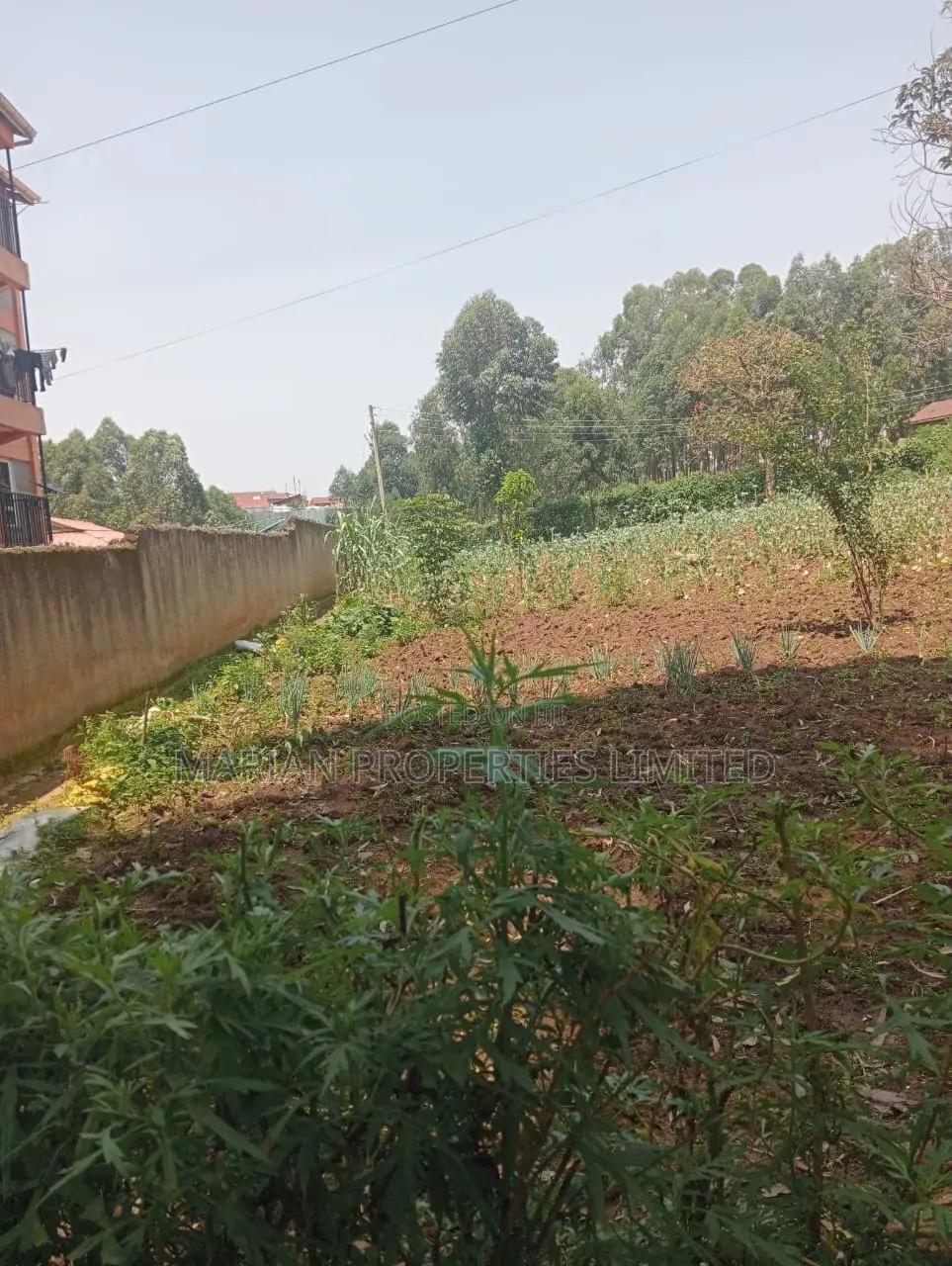 Prime Residential Plot in Kakamega
