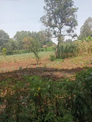 Prime Residential Plot in Kakamega