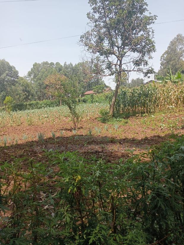 Prime Residential Plot in Kakamega - thumbnail 2