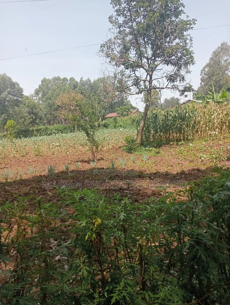Prime Residential Plot in Kakamega