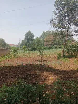 Prime Residential Plot in Kakamega