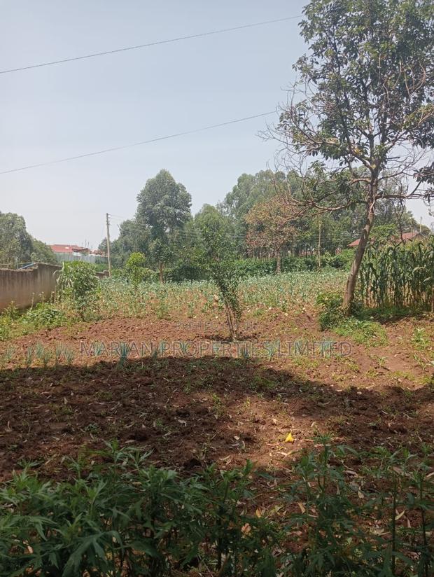 Prime Residential Plot in Kakamega - thumbnail 4
