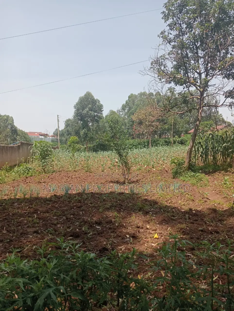 Prime Residential Plot in Kakamega