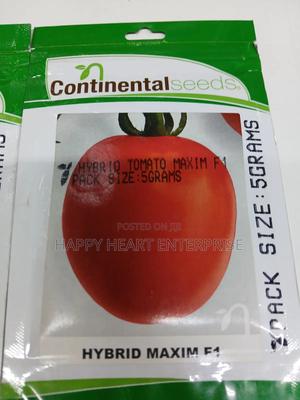 Maxim F1 Tomato Hybrid 5g - thumbnail 2