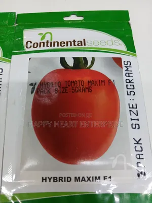 Maxim F1 Tomato Hybrid 5g