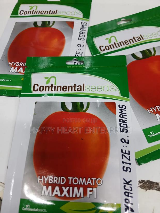 Tomato Hybrid Maxim F1 2.5g - main view