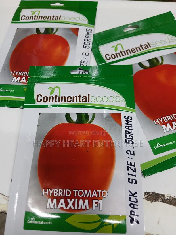 Tomato Hybrid Maxim F1 2.5g - thumbnail 3