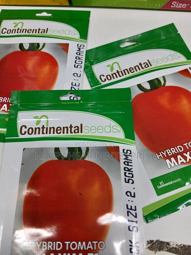 Tomato Hybrid Maxim F1 2.5g - thumbnail 4