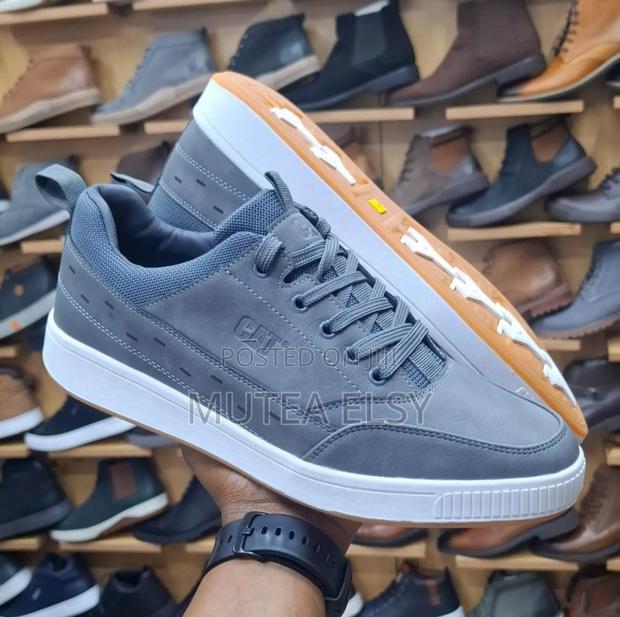 Grey Black Cat Laced Low Cut Shoes - main view