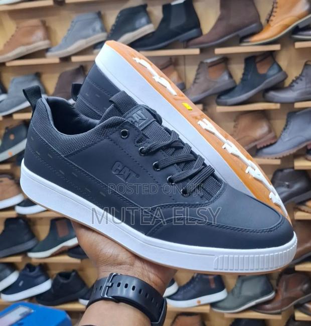 Grey Black Cat Laced Low Cut Shoes - thumbnail 2