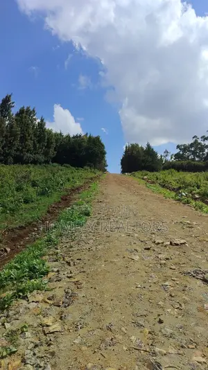 Eighth-Acre and Quarter-Acre Plots on Sale in Ngong Along Lemiso Rd