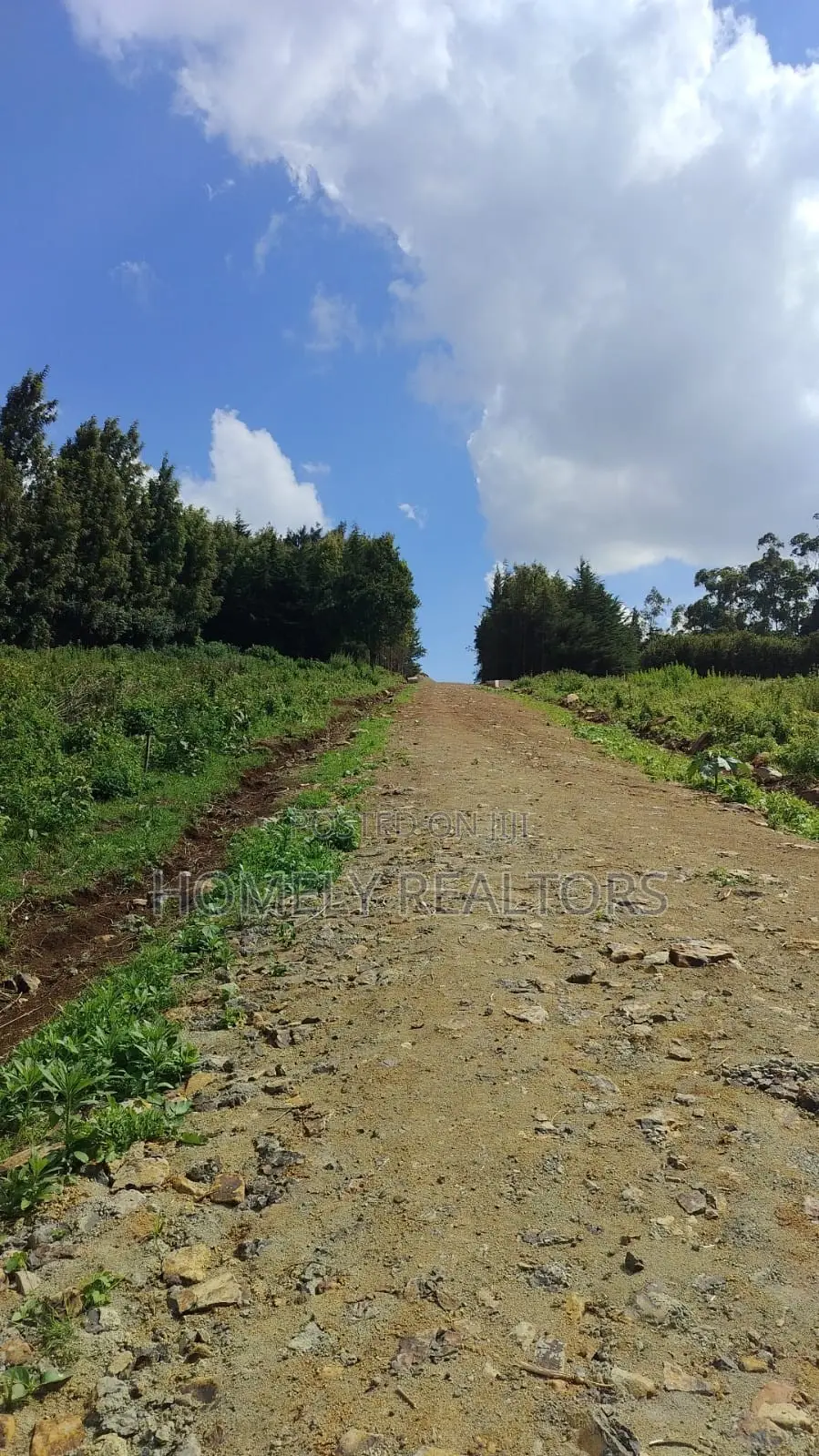 Eighth-Acre and Quarter-Acre Plots on Sale in Ngong Along Lemiso Rd