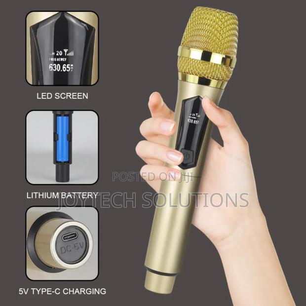 Singing Wireless Microphone - thumbnail 2