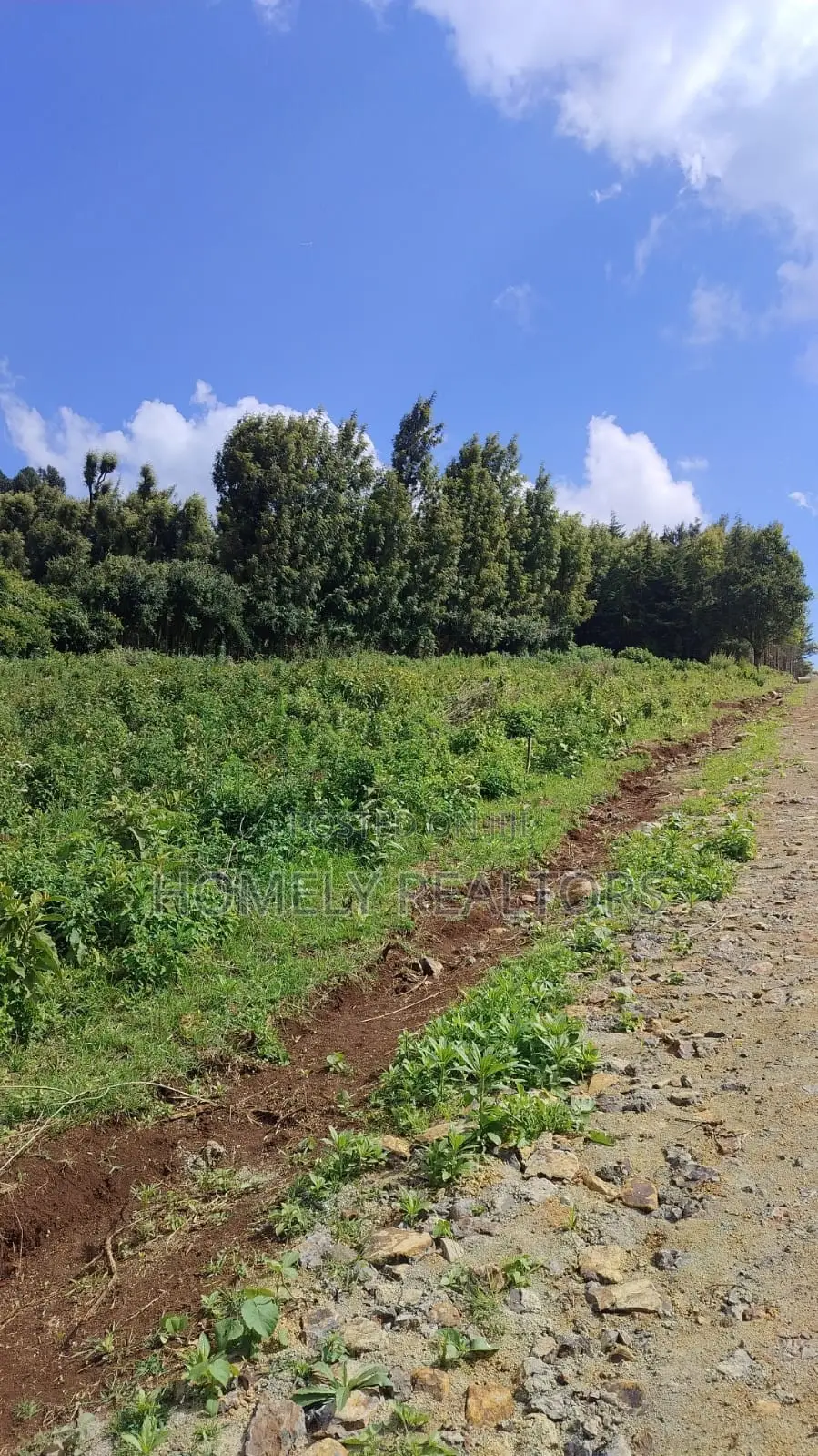 Eighth-Acre and Quarter-Acre Plots on Sale in Ngong Along Lemiso Rd