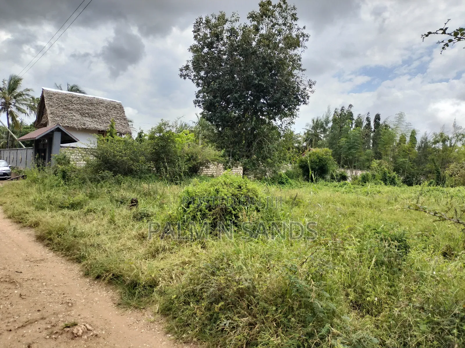 Prime Plot Up for Grabs in Diani.