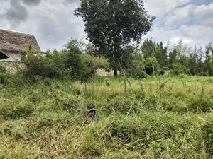 Prime Plot Up for Grabs in Diani.