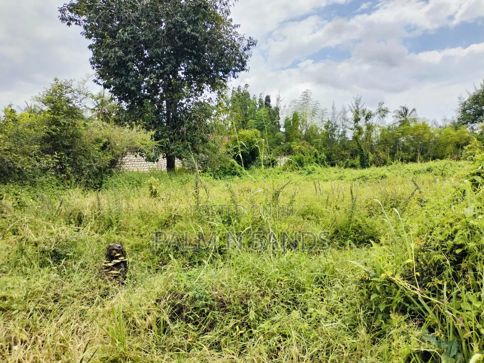 Prime Plot Up for Grabs in Diani.