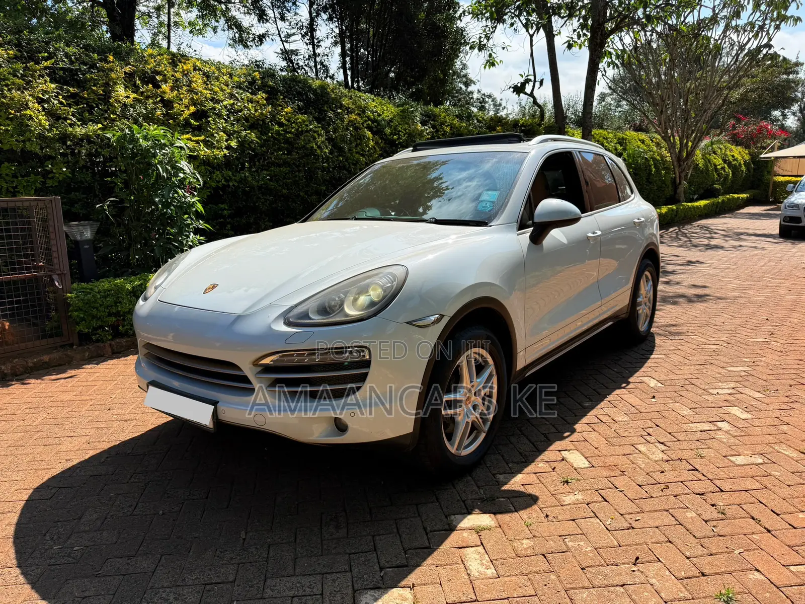 Porsche Cayenne 4dr SUV AWD (3.6L 6cyl 6M) 2014 White