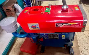 Powerful Jintan Zs195 Diesel Agricultural Engine 16hp 2200rpm