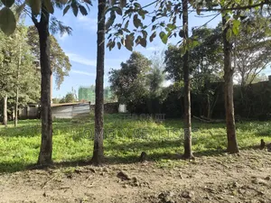 Commercial Half Acre Plot for Sale in Ngong, Matasia Touching Tarmac