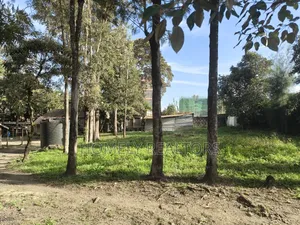 Commercial Half Acre Plot for Sale in Ngong, Matasia Touching Tarmac