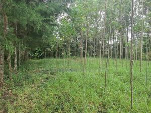 Residential Property - thumbnail 2