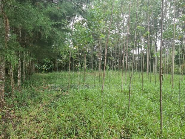 Residential Property - main view