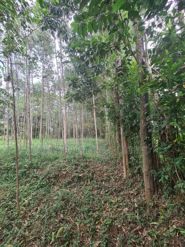 Residential Property - thumbnail 3