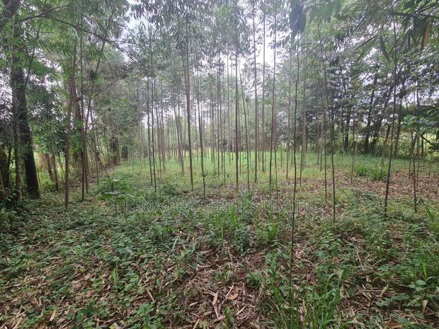 Residential Property - thumbnail 4