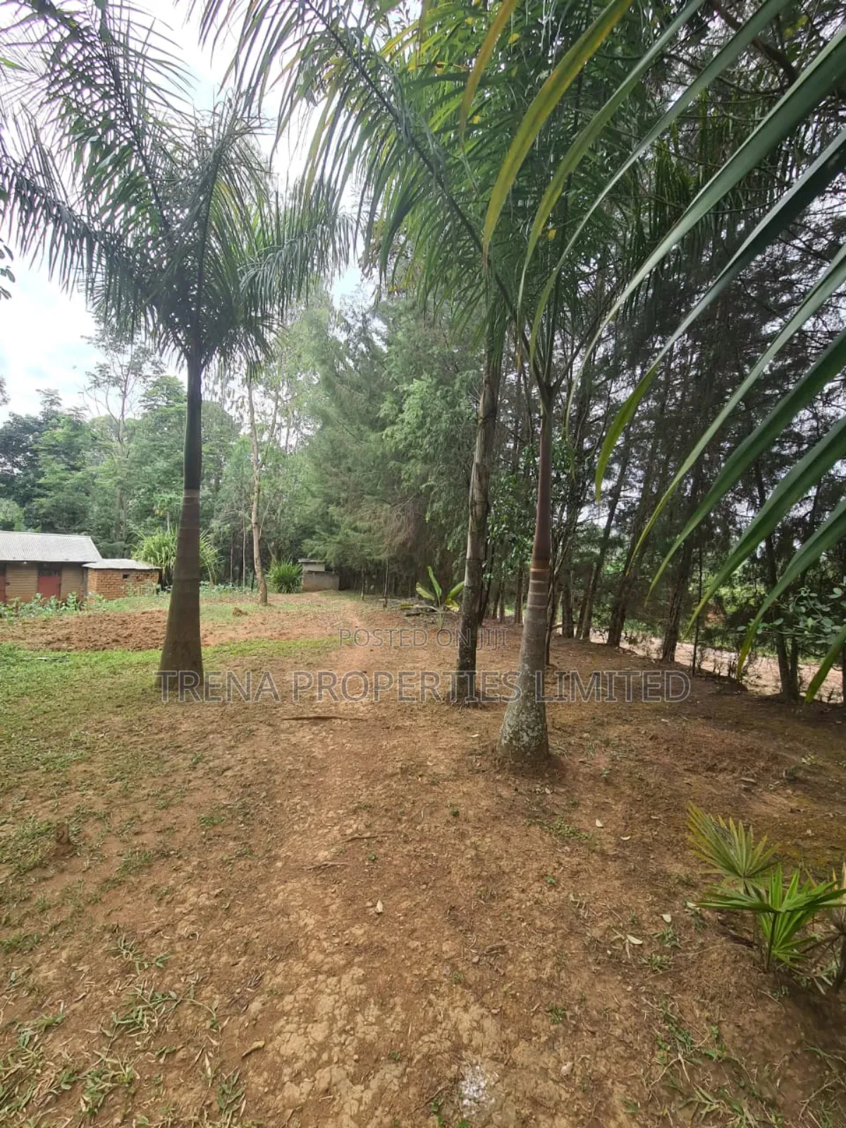 Residential Property