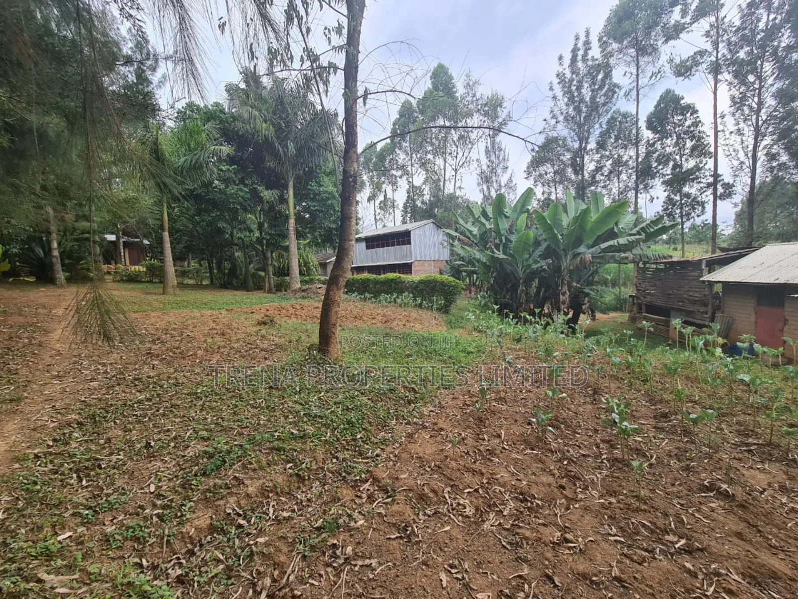 Residential Property