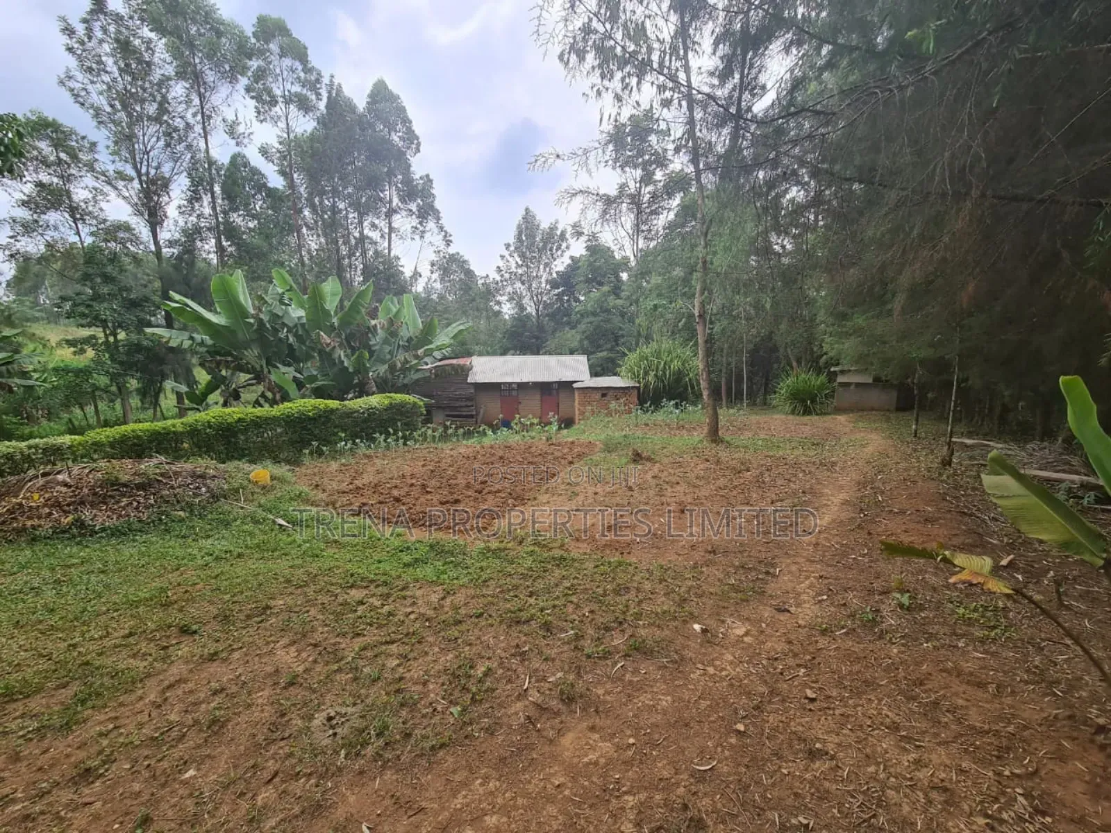 Residential Property