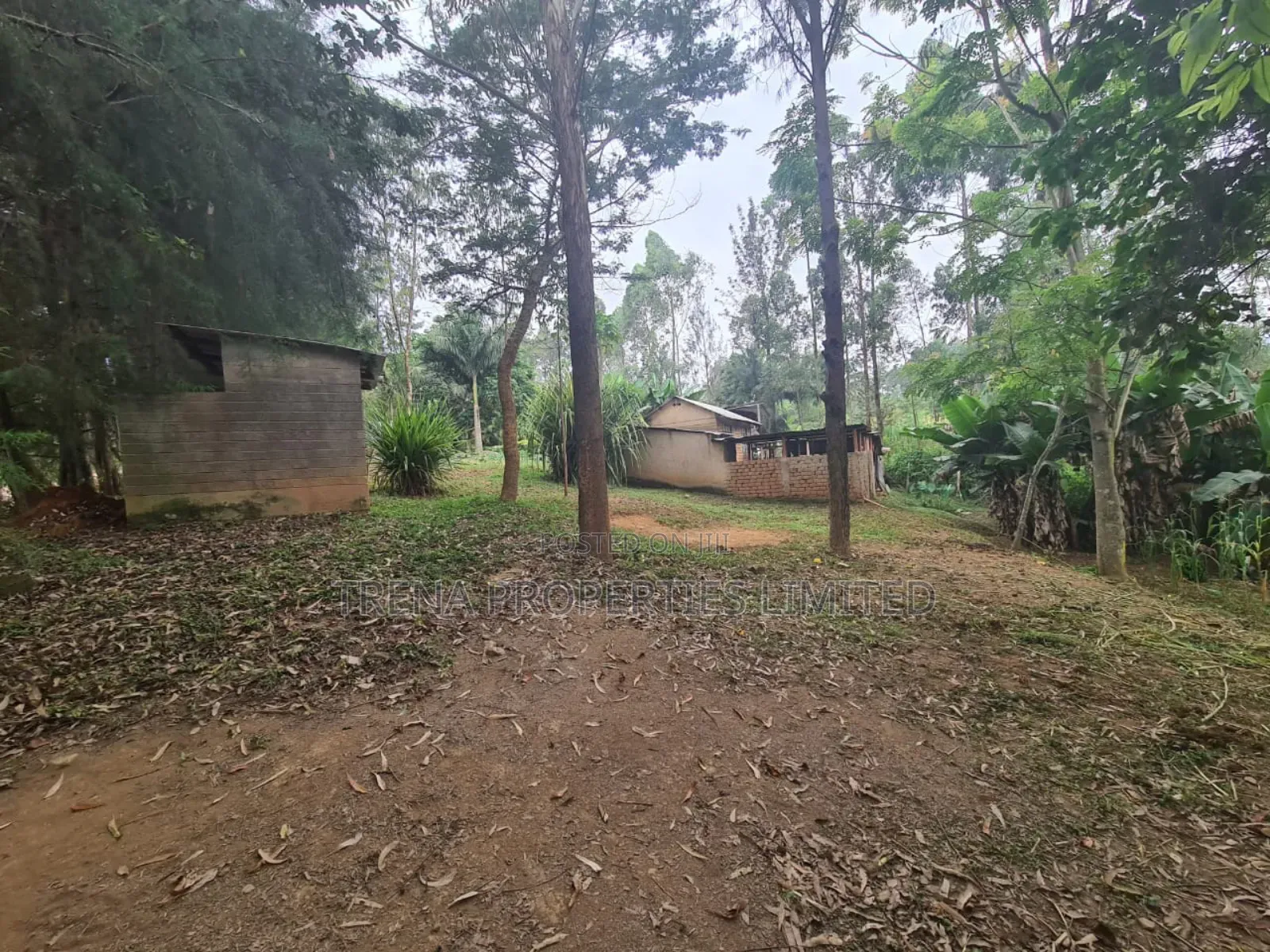 Residential Property