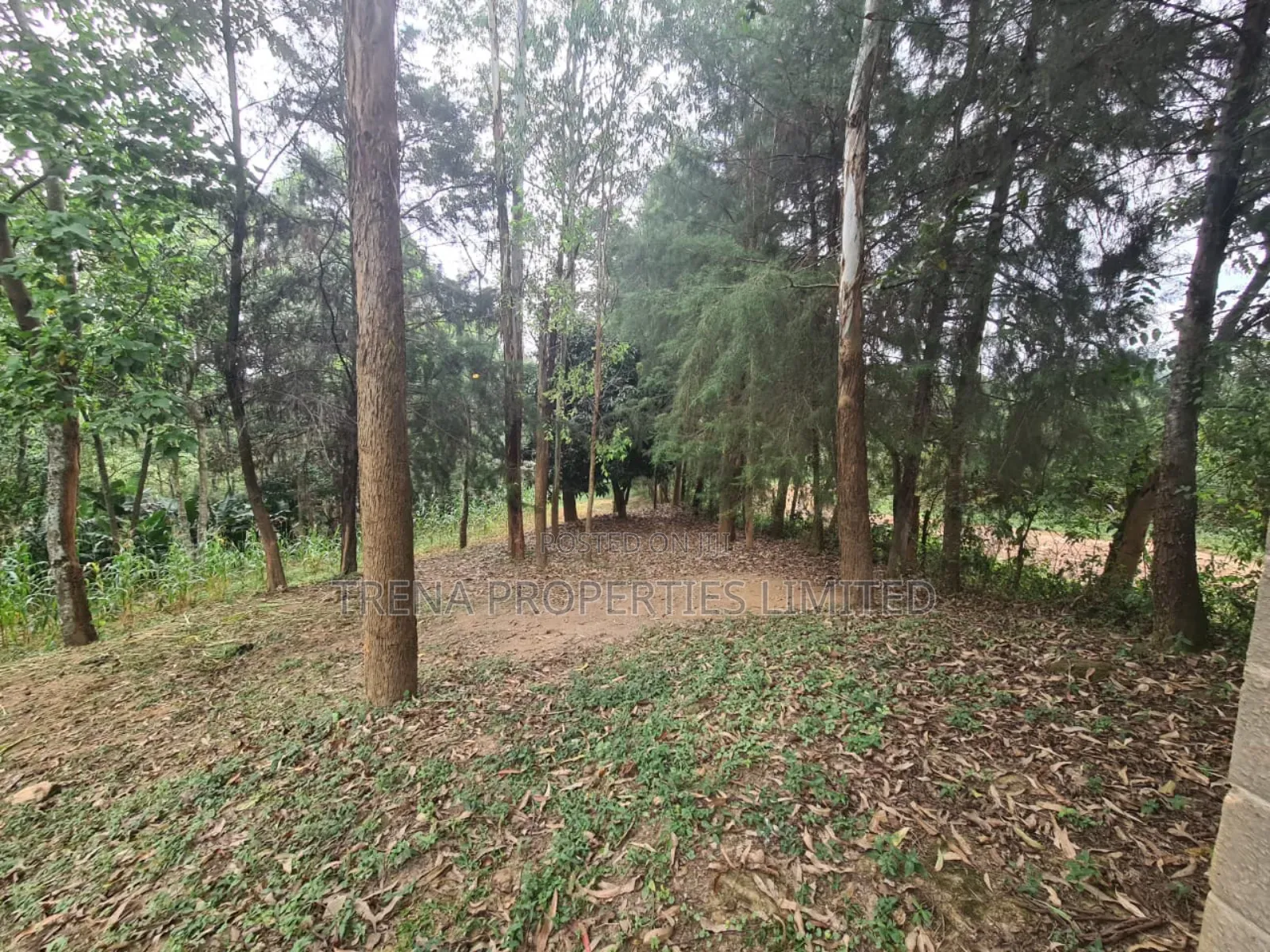 Residential Property