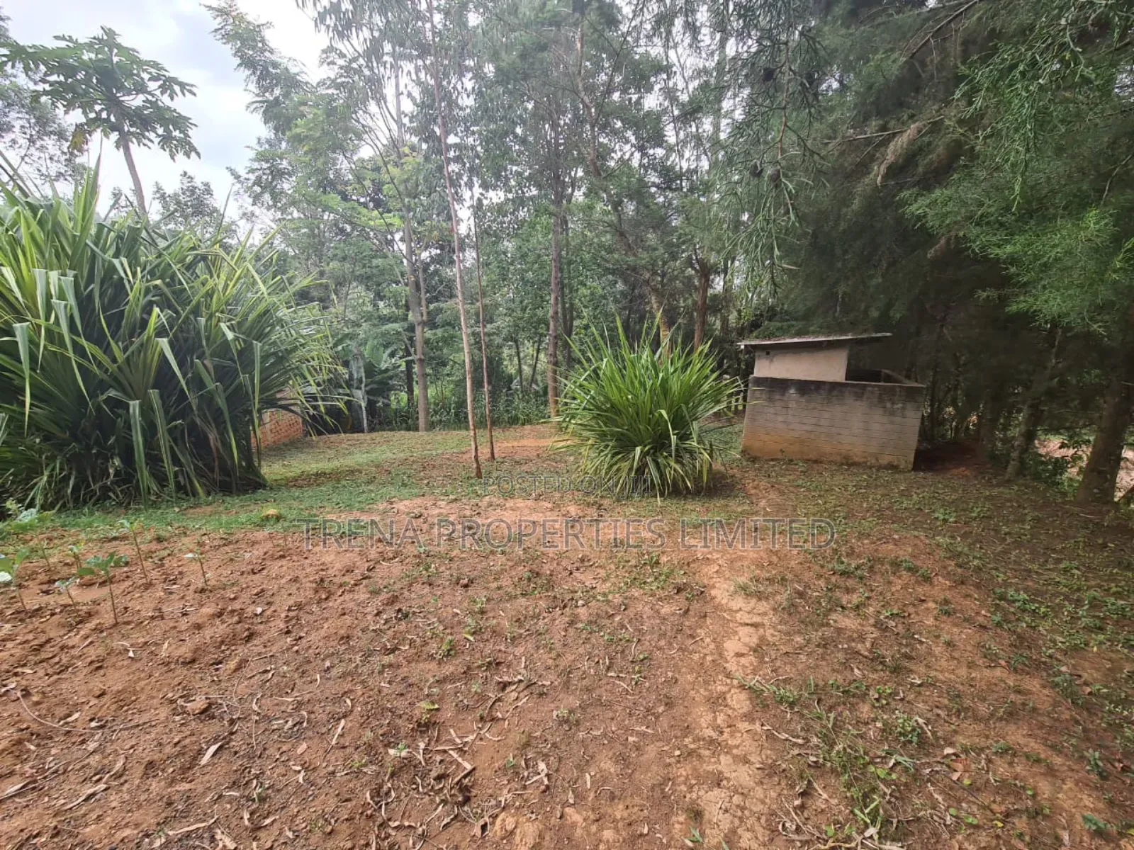 Residential Property