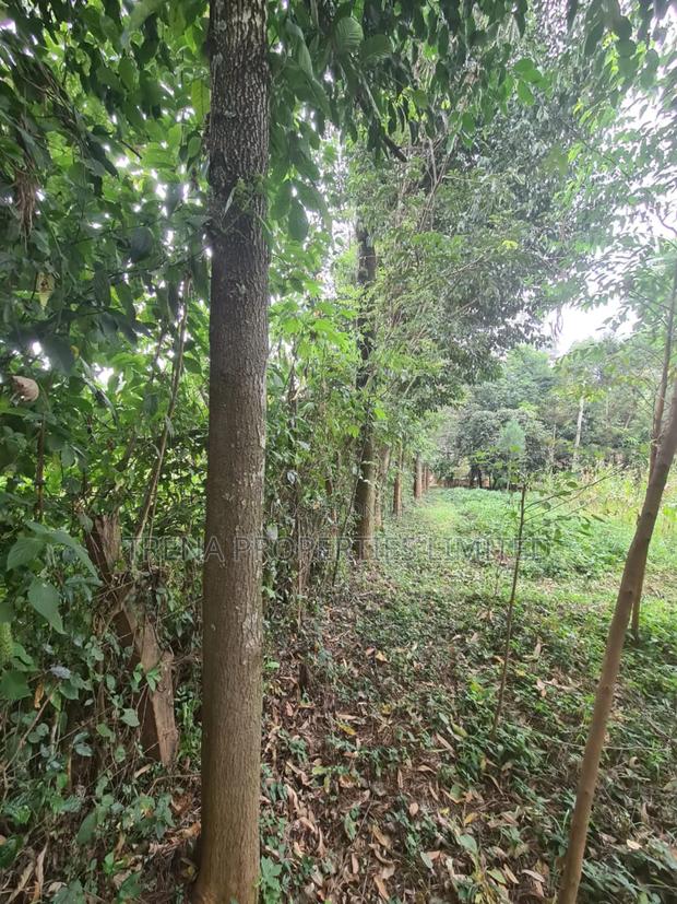 Residential Property - thumbnail 14