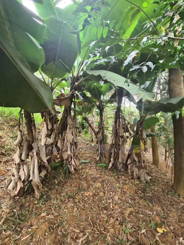 Residential Property - thumbnail 15