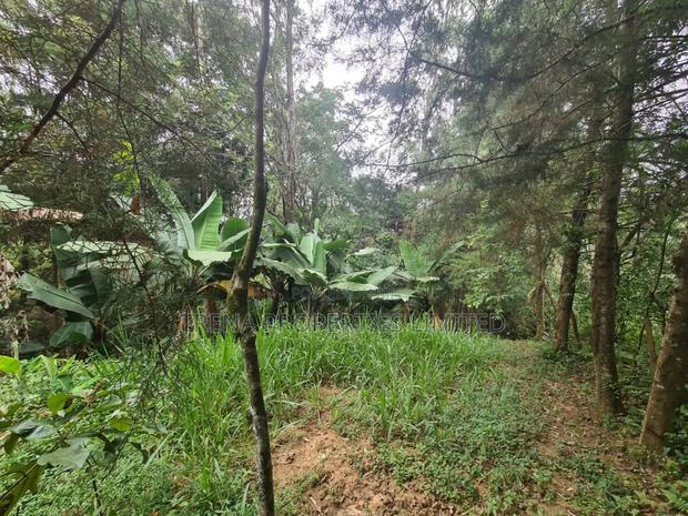 Residential Property - thumbnail 16