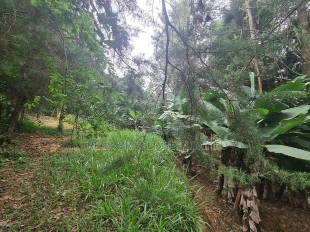 Residential Property - thumbnail 17