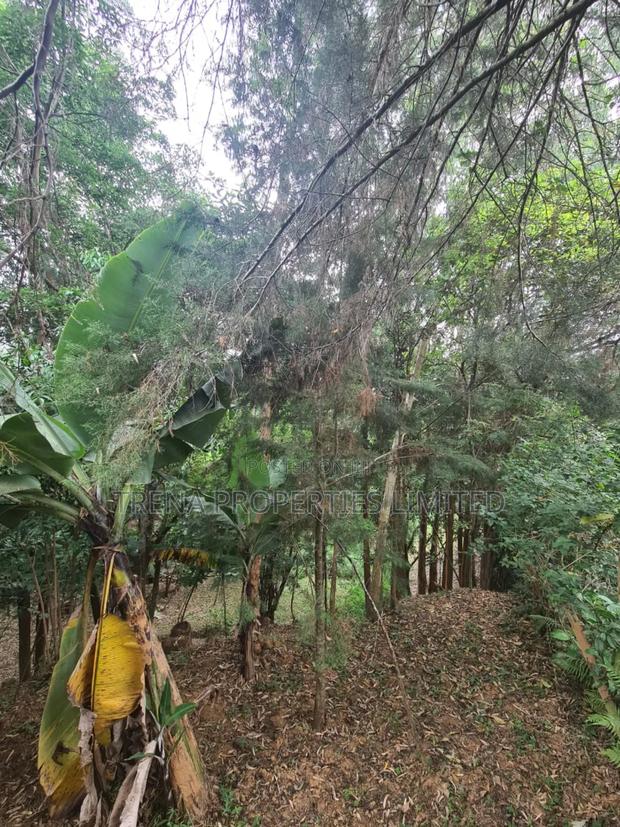 Residential Property - thumbnail 18