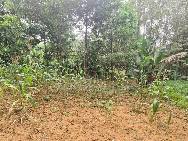 Residential Property - thumbnail 19