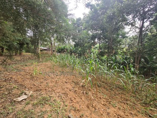 Residential Property - thumbnail 20