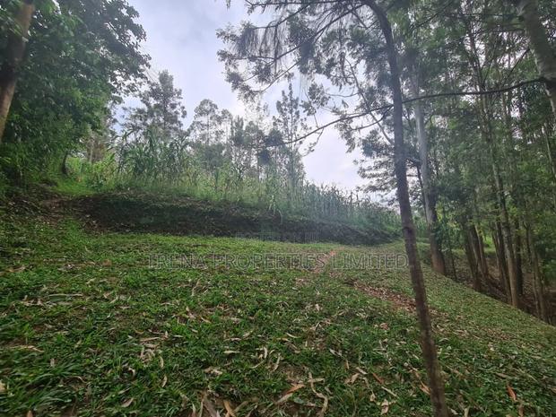 Residential Property - thumbnail 21