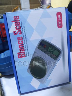 Dt-610 Blance Scale - main view